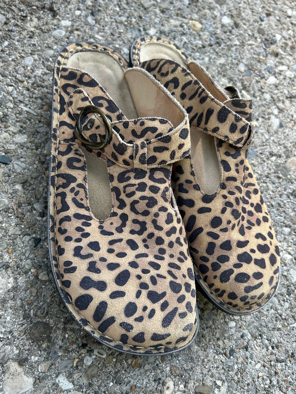 Alegria Leopard Print Slip-On Clog Women’s Mary Jane Size 9.5-10 EU 40 Slides